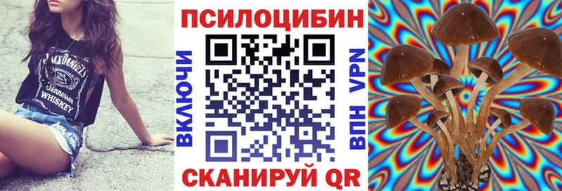 Псилоцибиновые грибы мицелий  Горбатов 