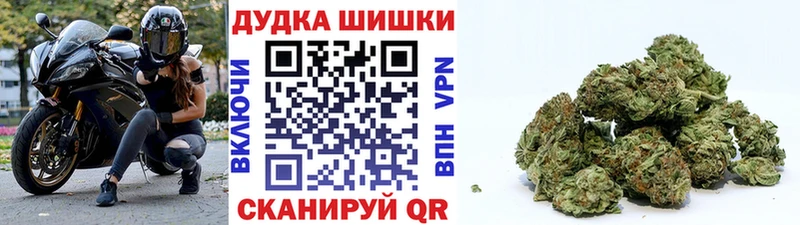 Конопля семена  наркотики  Горбатов 